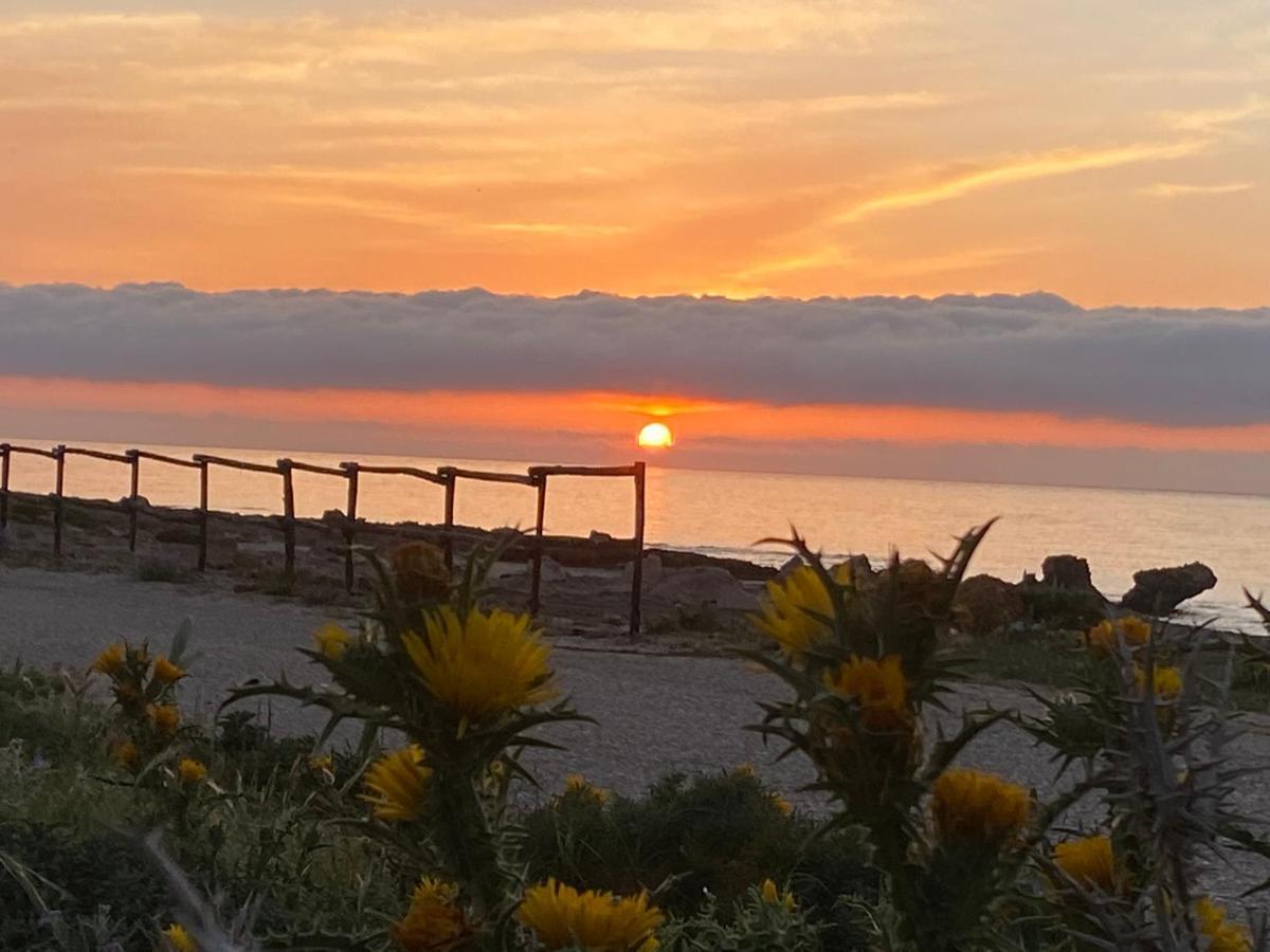 Cala Di Ponente Hotell Castelluzzo Eksteriør bilde