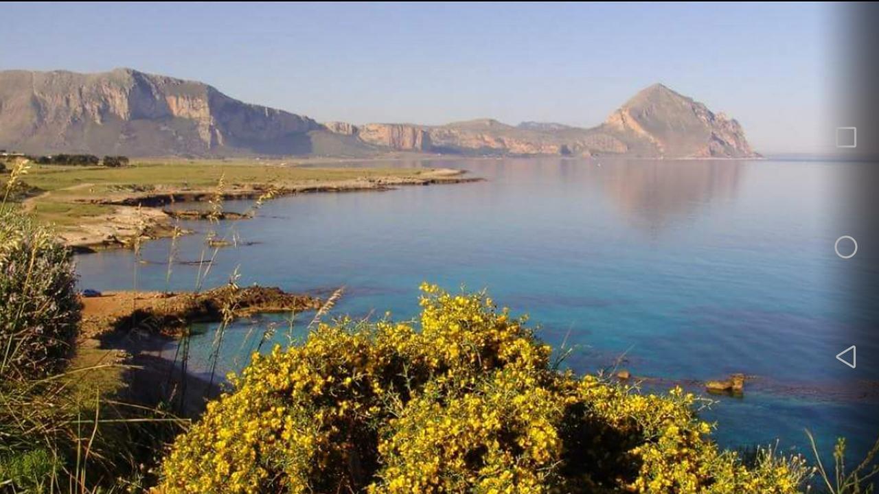 Cala Di Ponente Hotell Castelluzzo Eksteriør bilde